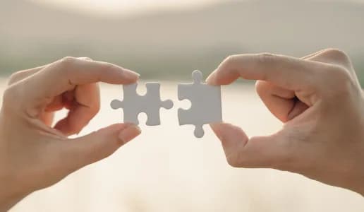 Tailored Program Matching